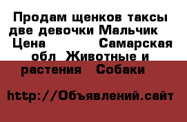 Продам щенков таксы две девочки Мальчик   › Цена ­ 2 000 - Самарская обл. Животные и растения » Собаки   